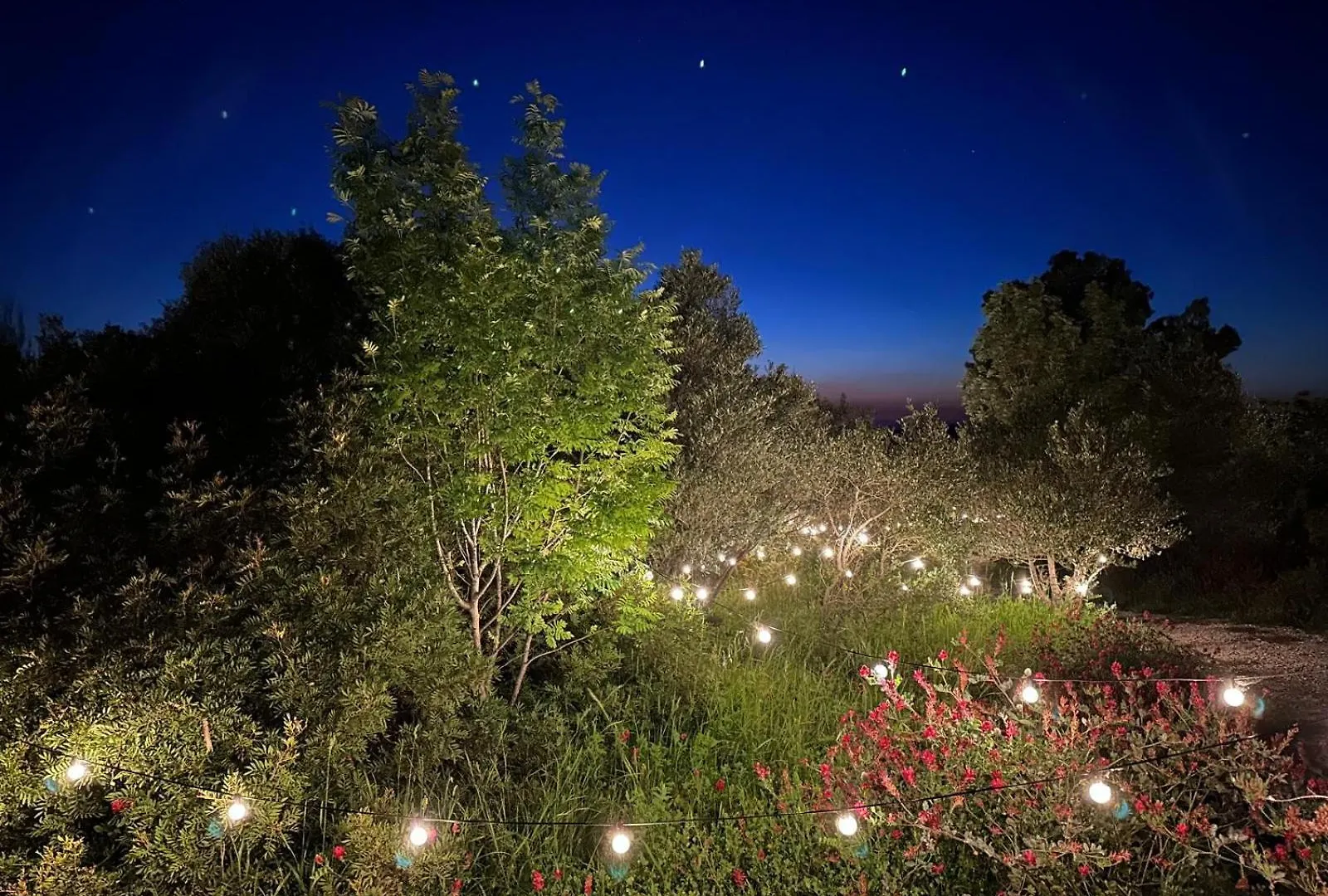 Glamping San Bart Hotel San Vincenzo Italy
